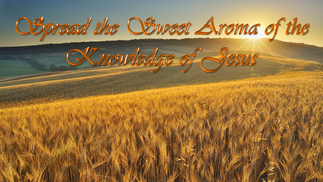 Music is the Voice of God. The voice of the Lord is powerful; the voice of the Lord is majestic. [Psalm 29:4]. *Image Loading. Ensure JavaScript is Enabled.*